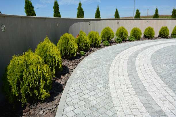 Best Professional Driveway Pavers  in Old Greenwich, CT